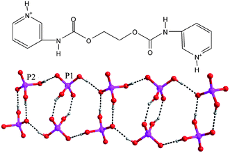 Graphical abstract: A flexible bis(pyridylcarbamate) anion receptor: binding of infinite double-stranded phosphate, [-sulfate-(H2O)2-]n, and hydrogen-bridged helical perchlorate chain