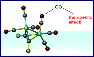 Graphical abstract: μ2-Alkyne dicobalt(0)hexacarbonyl complexes as carbon monoxide-releasing molecules (CO-RMs): probing the release mechanism