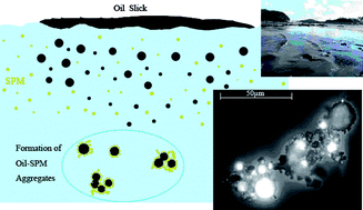 Graphical abstract: A review of oil-suspended particulate matter aggregation—a natural process of cleansing spilled oil in the aquatic environment