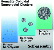 Graphical abstract: Single-crystal-like hematite colloidal nanocrystal clusters: synthesis and applications in gas sensors, photocatalysis and water treatment