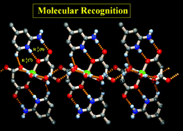 Graphical abstract: Robust recognition of malonate and 2-amino-4-picolinium in conjunction with M(ii) as a triad (M = Ni/Co/Mn): role of this highly stable hydrogen-bonded motif in driving supramolecular self-assembly