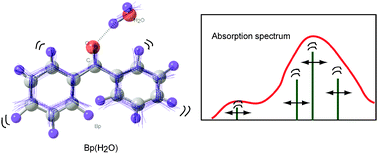 Graphical abstract: A direct ab initio molecular dynamics (MD) study on the benzophenone–water 1 : 1 complex
