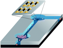 Graphical abstract: Nanowire and nanotube transistors for lab-on-a-chip applications