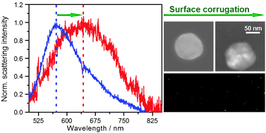 Graphical abstract: The effect of surface roughness on the plasmonic response of individual sub-micron gold spheres
