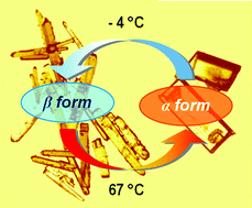 Graphical abstract: Towards a temperature-guided molecular switch: an unusual reversible low-temperature polymorphic phase transition in a conformationally locked environment