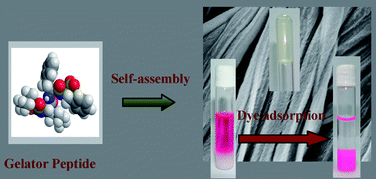 Graphical abstract: Self-assembling tripeptide based hydrogels and their use in removal of dyes from waste-water