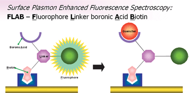 Graphical abstract: A surface plasmon enhanced fluorescence sensor platform