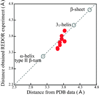 Graphical abstract: Structural analysis of the Gly-rich region in spider dragline silk using stable-isotope labeled sequential model peptides and solid-state NMR