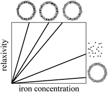 Graphical abstract: Relaxation times of colloidal iron platinum in polymer matrixes