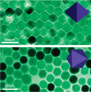 Graphical abstract: Octahedral Fe3O4nanoparticles and their assembled structures