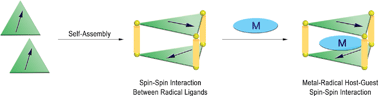 Graphical abstract: Engineering noncovalent spin–spin interactions in an organic-pillared spin cage