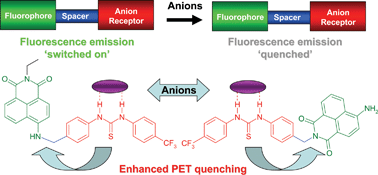 Graphical abstract: Demonstration of bidirectional photoinduced electron transfer (PET) sensing in 4-amino-1,8-naphthalimide based thiourea anion sensors