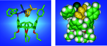 Graphical abstract: Calixarene-monophosphines as supramolecular chelators
