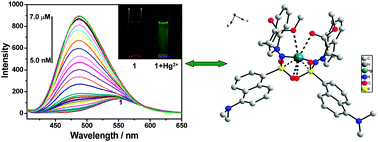 Graphical abstract: An easily prepared hypersensitive water-soluble fluorescent probe for mercury(ii) ions