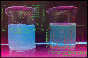 Graphical abstract: Microwave synthesis of fluorescent carbon nanoparticles with electrochemiluminescence properties