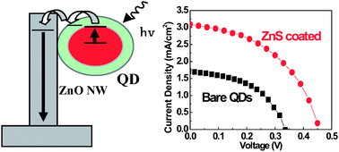 Graphical abstract: Core-shell CuInS2/ZnS quantum dots assembled on short ZnO nanowires with enhanced photo-conversion efficiency