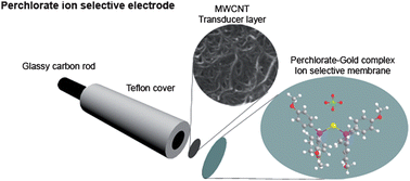 Graphical abstract: Ion-selective electrodes using multi-walled carbon nanotubes as ion-to-electron transducers for the detection of perchlorate