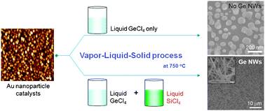 Graphical abstract: Growth of germanium nanowires using liquid GeCl4 as a precursor: the critical role of Si impurities