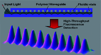 Graphical abstract: Fabrication of a cyclic olefin copolymer planar waveguide embedded in a multi-channel poly(methyl methacrylate) fluidic chip for evanescence excitation