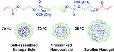 Graphical abstract: Template-free synthesis of biodegradable nanogels with tunable sizes as potential carriers for drug delivery