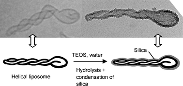 Graphical abstract: Highly aspherical silica nanoshells by templating tubular liposomes