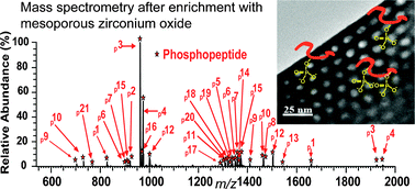 Graphical abstract: Mesoporous zirconium oxide nanomaterials effectively enrich phosphopeptides for mass spectrometry-based phosphoproteomics