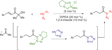 Graphical abstract: Catalytic amide formation with α′-hydroxyenones as acylating reagents