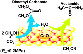 Graphical abstract: Low pressure CO2 to dimethyl carbonate by the reaction with methanol promoted by acetonitrile hydration