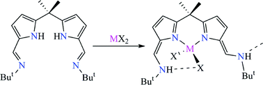Graphical abstract: Tautomerisation and hydrogen-bonding interactions in four-coordinate metal halide and azide complexes of N-donor-extended dipyrromethanes