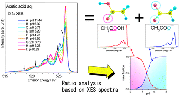 Graphical abstract: Identification of valence electronic states of aqueous acetic acid in acid–base equilibrium using site-selective X-ray emission spectroscopy