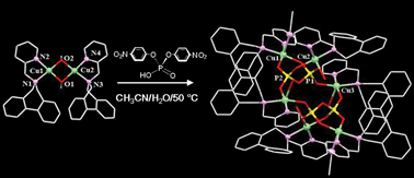 Graphical abstract: First hexanuclear copper(ii) pyrophosphate through hydrolysis of phosphodiester with a dicopper complex