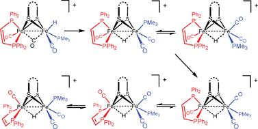 Graphical abstract: Isomerization of the hydride complexes [HFe2(SR)2(PR3)x(CO)6−x]+ (x = 2, 3, 4) relevant to the active site models for the [FeFe]-hydrogenases