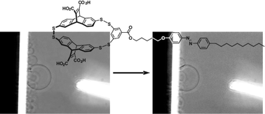 Graphical abstract: Photo-induced molecular-recognition-mediated adhesion of giant vesicles