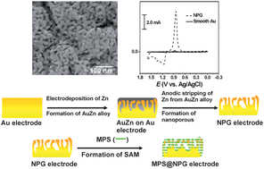 Graphical abstract: Application of a nanoporous gold electrode for the sensitive detection of copperviamercury-free anodic stripping voltammetry