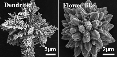 Graphical abstract: Facile controlled synthesis of highly ordered dendritic and flower-like cobalt superstructures