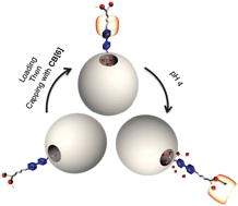 Graphical abstract: pH-Responsive mechanised nanoparticles gated by semirotaxanes