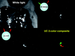 Graphical abstract: In vivo multiple color lymphatic imaging using upconverting nanocrystals