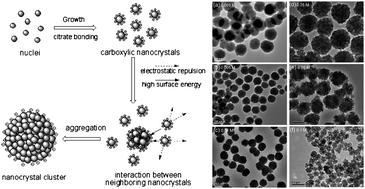 Graphical abstract: Tunable synthesis of carboxyl-functionalized magnetite nanocrystal clusters with uniform size