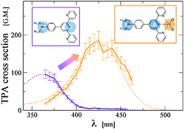 Graphical abstract: Enhancing the efficiency of two-photon absorption by metal coordination