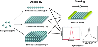 Graphical abstract: Nanoparticle assemblies for biological and chemical sensing