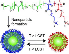 Graphical abstract: Facile synthesis of responsive nanoparticles with reversible, tunable and rapid thermal transitions from biocompatible constituents