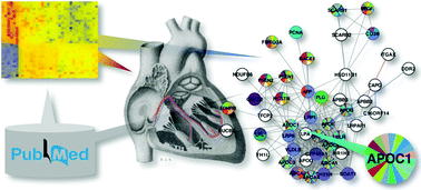 Graphical abstract: The use of network analyses for elucidating mechanisms in cardiovascular disease