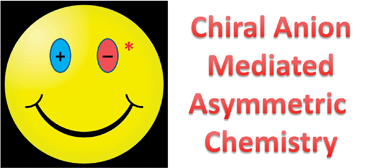 Graphical abstract: Chiral anion-mediated asymmetric ion pairing chemistry