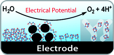 Graphical abstract: Molecular water-oxidation catalysts for photoelectrochemical cells
