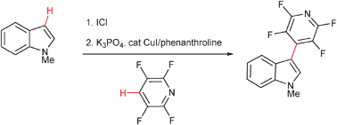 Graphical abstract: Copper-catalyzed arene C–H bond cross-coupling