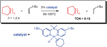 Graphical abstract: Homogeneous catalytic transfer dehydrogenation of alkanes with a group 10 metal center