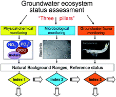 Graphical abstract: The potential use of fauna and bacteria as ecological indicators for the assessment of groundwater quality