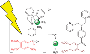 Graphical abstract: ZinCast-1: a photochemically active chelator for Zn2+