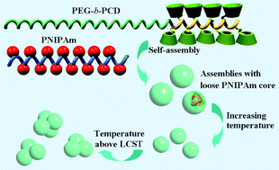 Graphical abstract: Spontaneous formation of temperature-responsive assemblies by molecular recognition of a β-cyclodextrin-containing block copolymer and poly(N-isopropylacrylamide)