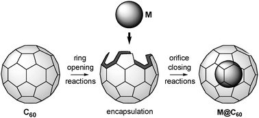 Graphical abstract: Open-cage fullerenes: towards the construction of nanosized molecular containers